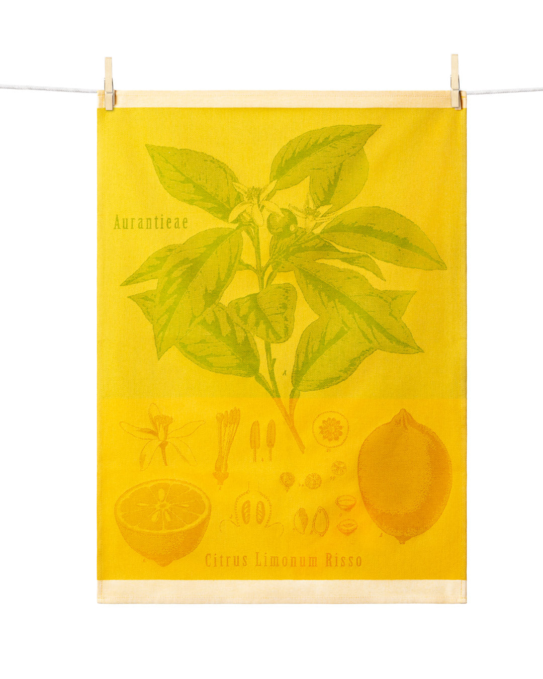TORCHON CITRUS